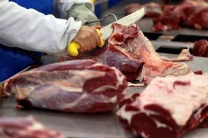 Plan “Añua”: Cortes de carne tendrán hasta el 20% de descuento, anuncia ministra | Ñanduti