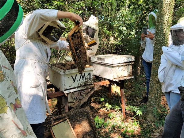 Apicultores de Ayolas fueron capacitados para fortalecer y mejorar su producción