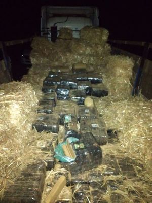 Decomisan más de dos toneladas de marihuana en zona de Pindoty Porã - Nacionales - ABC Color