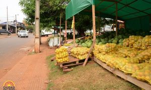 Municipalidad de Ciudad del Este da espacios a productores de frutas nacionales en Mercado – Diario TNPRESS