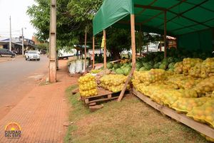 Productores tienen espacio en el mercado para ofrecer sus frutas - La Clave