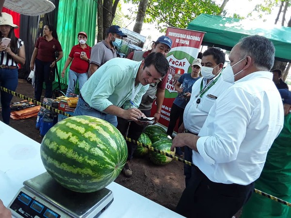 Fiesta de la Sandía se hará con exposición y ventas este viernes en San Pedro del Paraná - .::Agencia IP::.