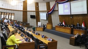 Diputados aprueban comisión especial para intervención de Central | Noticias Paraguay