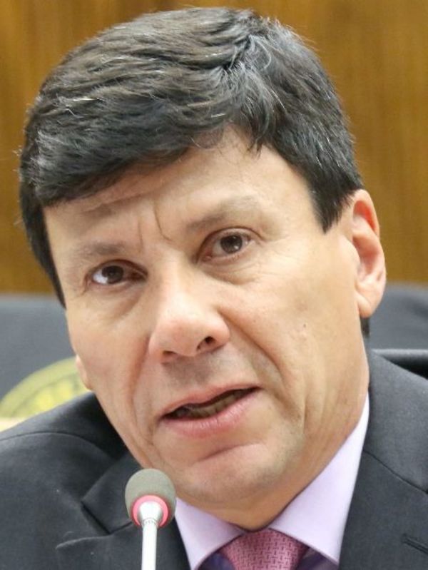 Diputado Harms pide firmeza al presidente para no cambiar a la titular de Migraciones - Nacionales - ABC Color