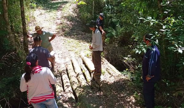 Fiscalía intervino plantación de soja en Paso Yobái - Nacionales - ABC Color