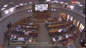 Senado estudia el Presupuesto 2022 y pretende modificaciones - Nacionales - ABC Color