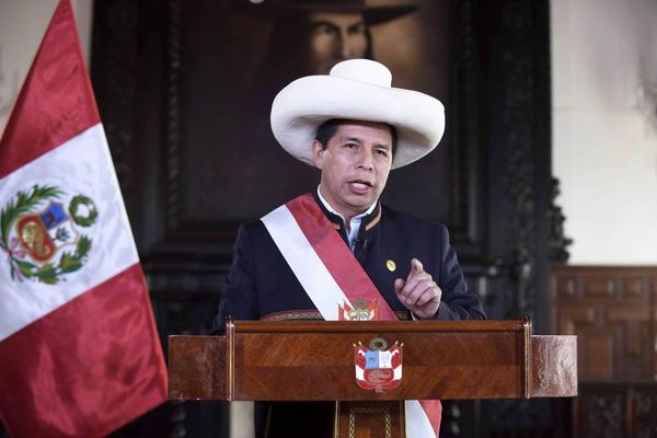 Hallan US$ 20 mil en el baño del exsecretario del presidente de Perú - Mundo - ABC Color