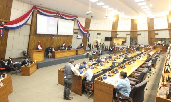 Central: Diputados conforman comisión - C9N