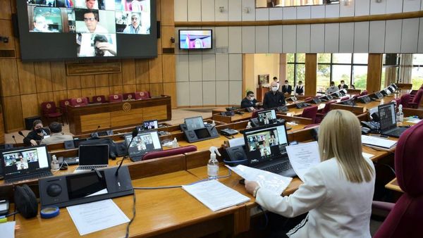 Los puntos claves del PGN 2022 que trata el Senado