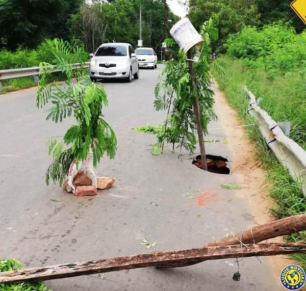 "Arborizan" cráter de un puente en Luque •