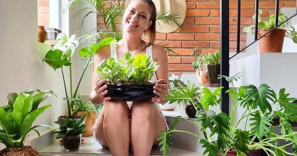 La Nación / Gisella Cassettai promueve la horticultura como terapia contra el estrés