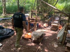 Senad destruye 2 toneladas de marihuana en campamento narco en Amambay - Megacadena — Últimas Noticias de Paraguay