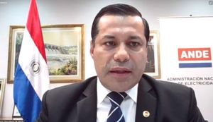 El presidente de la ANDE y el director general brasileño de Itaipú van a Panamá a reunión de la CIER - Nacionales - ABC Color