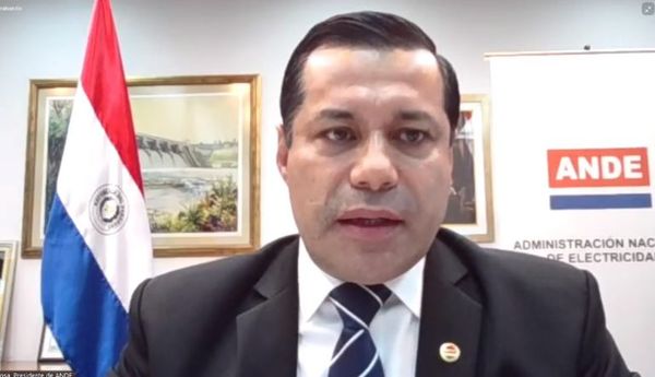 El presidente de la ANDE y el director general brasileño de Itaipú van a Panamá a reunión de la CIER - Nacionales - ABC Color