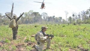 Queman más de 6,5 toneladas marihuana en Amambay