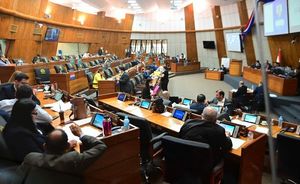 Molestia cartista posterga aprobación de préstamos por US$ 270 millones - Nacionales - ABC Color