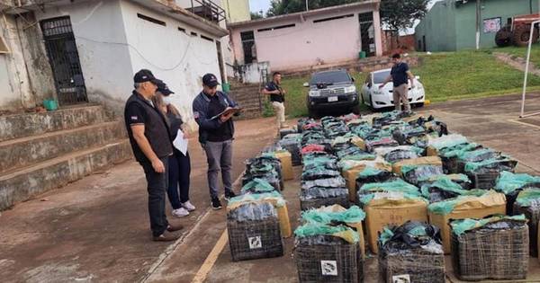 La Nación / Hallan más de 2.300 kg de marihuana