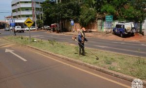 Municipalidad de C. del Este apoya iniciativa de iluminación navideña para la avenida Perú – Diario TNPRESS