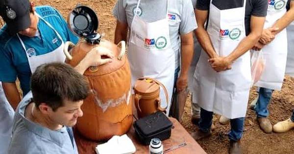 La Nación / Apuntan a mayor eficiencia en producción de carne con la inseminación artificial