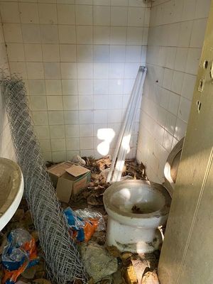 Escuela Cerro Cora de Lambaré, sin baños, agua ni muralla - Nacionales - ABC Color