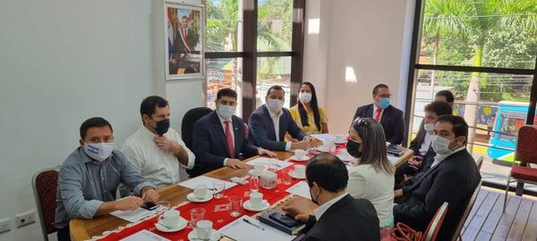 Inversionistas argentinos interesados en instalarse en complejo industrial de Hernandarias - ABC en el Este - ABC Color
