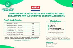 MIC habilita inscripción de mipymes y empresas para que accedan a la exoneración de hasta 50% en sus  facturas de ANDE y de la Essap - Nacionales - ABC Color