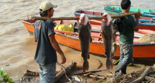 Pescadores reciben desde hoy el subsidio por la veda pesquera - Noticiero Paraguay