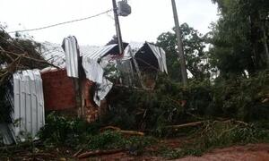 Lluvias, fuertes vientos, raudales y árboles caídos en varios puntos del país – Prensa 5