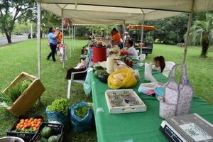 Con feria de productos, mujeres rurales de Ayolas recuerdan el Día Internacional de la Eliminación de la Violencia contra la Mujer