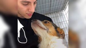 Puso en venta su celu y compu para pagar tratamiento de sus perritos