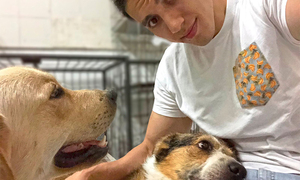Pone en venta su celular y su notebook para pagar tratamiento de sus perritos - OviedoPress