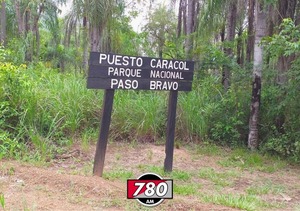 Hallan campamento y armas en el parque nacional Paso Bravo - Megacadena — Últimas Noticias de Paraguay