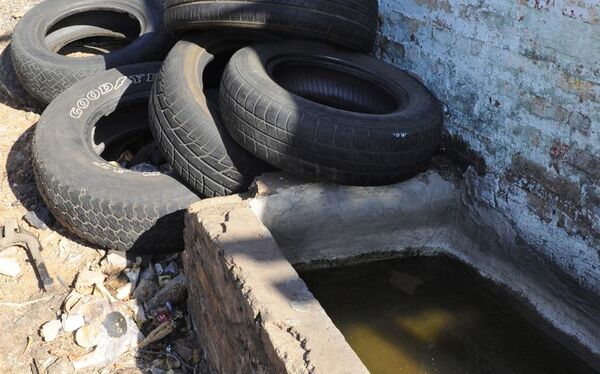 Infestación larvaria: reportan aumento y Central tiene mayores casos sospechosos sobre arbovirosis - Nacionales - ABC Color