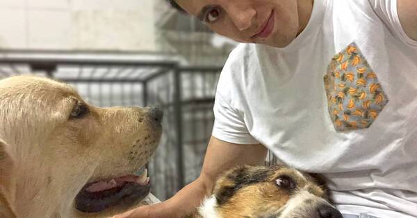 La Nación / Envenenaron a sus perros y puso en venta su celular y computadora para salvarles la vida