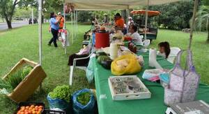 Mujeres rurales de Ayolas organizaron una feria de productos horti-granjeros, artesanía y gastronomía