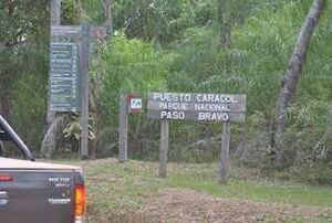 Hallan campamento y armas en el parque nacional Paso Bravo