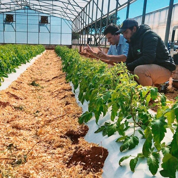 Expoferia organizada por Cetapar apresta baterías innovadoras para la horticultura exitosa – La Mira Digital