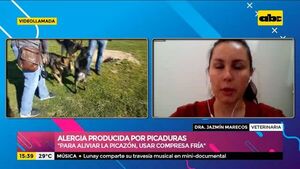 Altas temperaturas y aparición de alergia por picaduras - Ensiestados - ABC Color