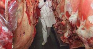 La Nación / Hay mejores perspectivas para el acceso de carne bovina y porcina a Rusia