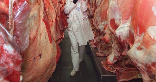 La Nación / Hay mejores perspectivas para el acceso de carne bovina y porcina a Rusia
