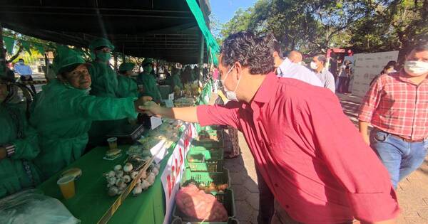 La Nación / Municipalidad de Pilar lanzará un concurso de huertas familliares urbanas