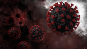 Lo que se sabe de ómicron, la nueva variante Covid que alerta al mundo