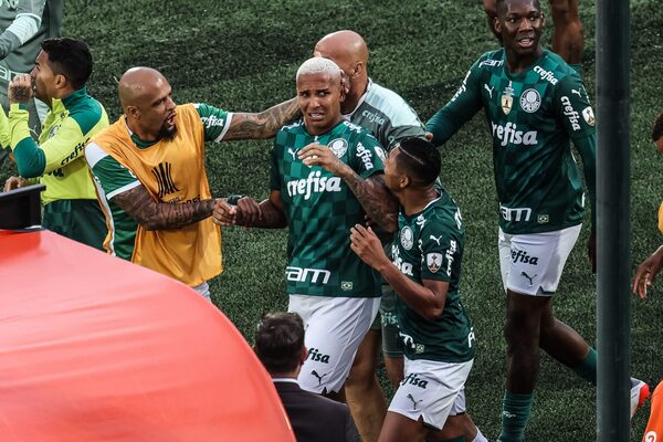 PALMEIRAS CAMPEÓN - El Independiente