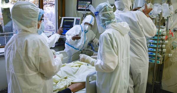 La Nación / COVID-19: investigadores buscan pista genética en las formas graves