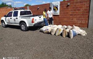 Encarnación: hombres detenidos con más de 100 kilos de marihuana picada