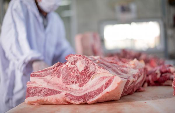 Exportación de carne paraguaya cuenta con total aprobación chilena