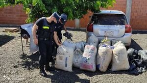Incautan más de 150 kilos de marihuana y detienen a dos personas en Encarnación