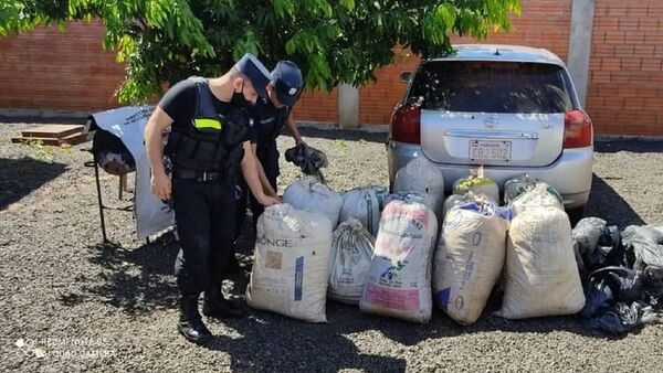 Incautan más de 150 kilos de marihuana y detienen a dos personas en Encarnación