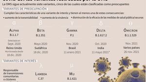 Pacientes con ómicron en Sudáfrica solo presentan “síntomas leves”