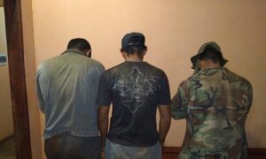 Detienen a tres personas por derribar y aserrar lapachos en Colonia Paso Itá de Hernandarias – Diario TNPRESS